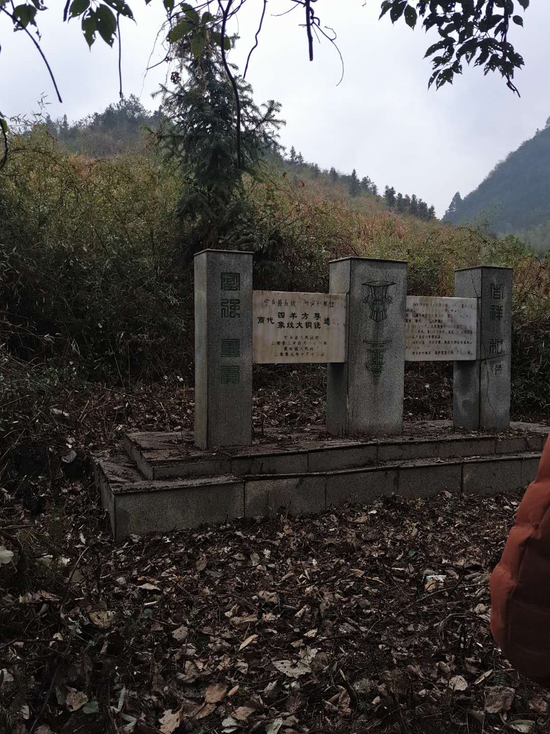 点击查看大图