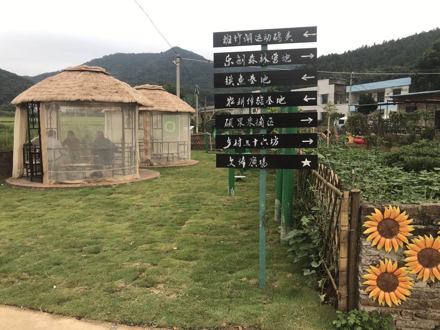 点击查看大图