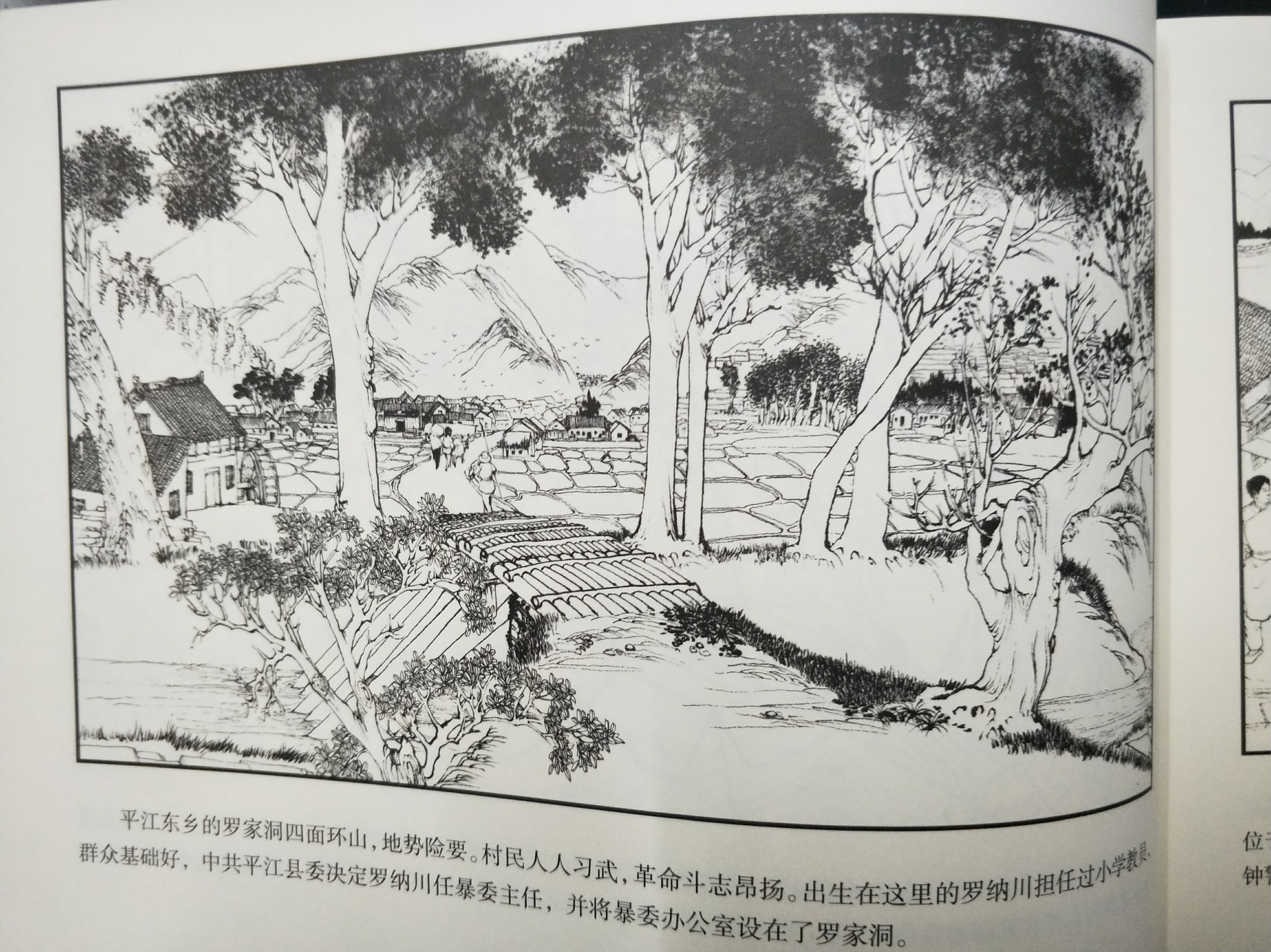点击查看大图