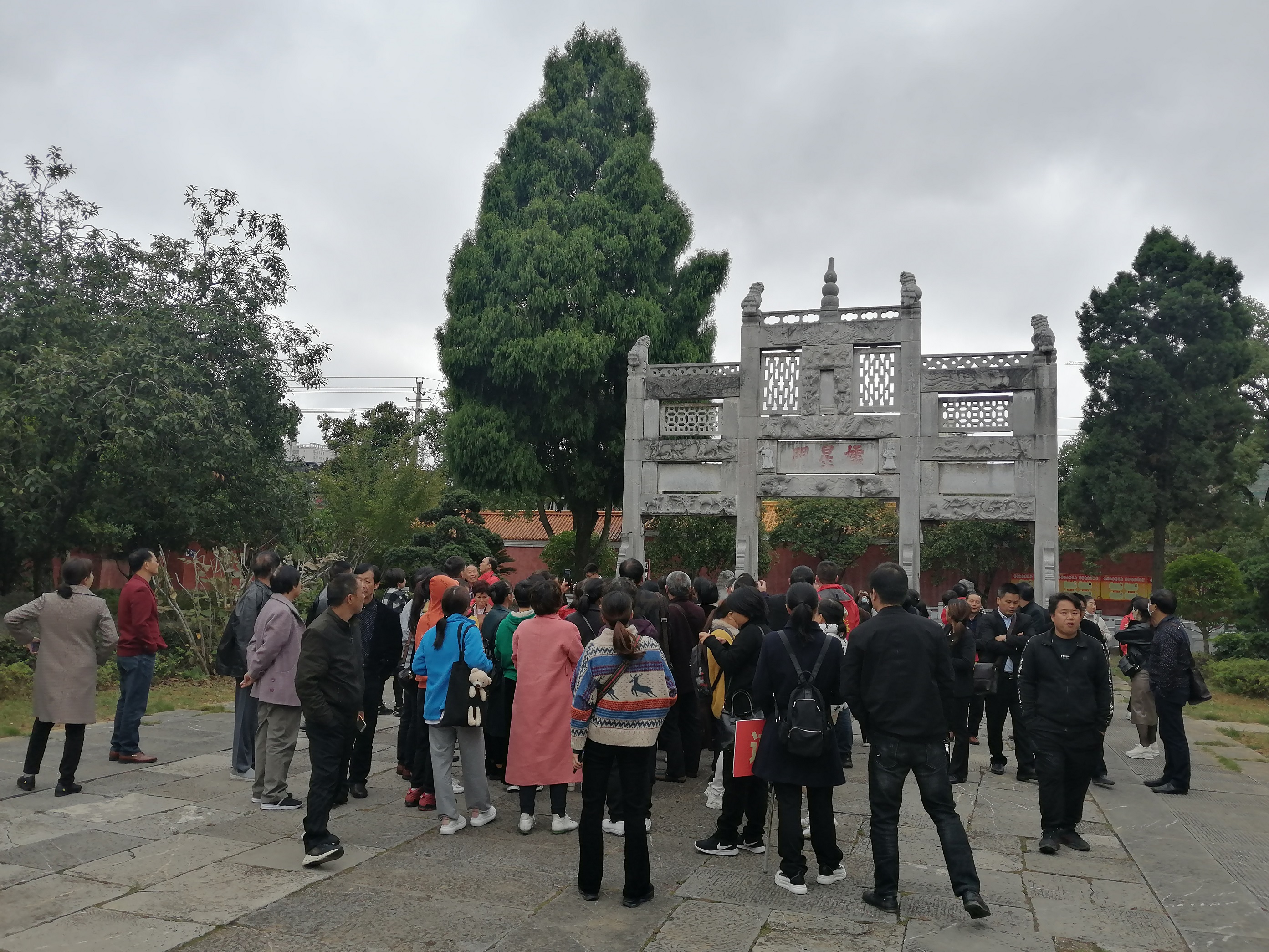 点击查看大图