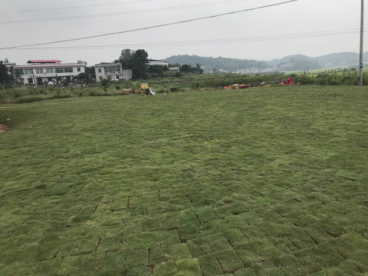 点击查看大图