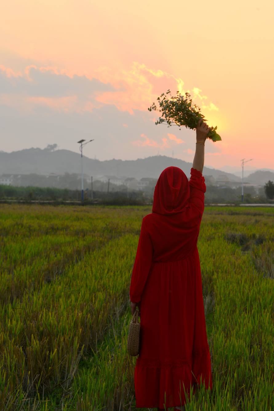 田野中的红衣女郎 - 美女 - 新湖南