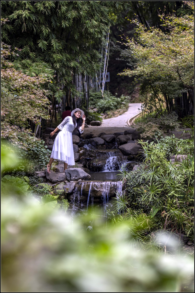 竹林小憩-新湖南