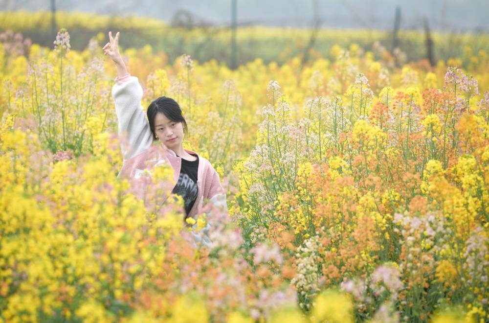 相约春天
