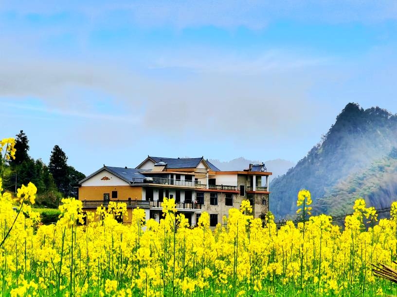 今日乡村-新湖南