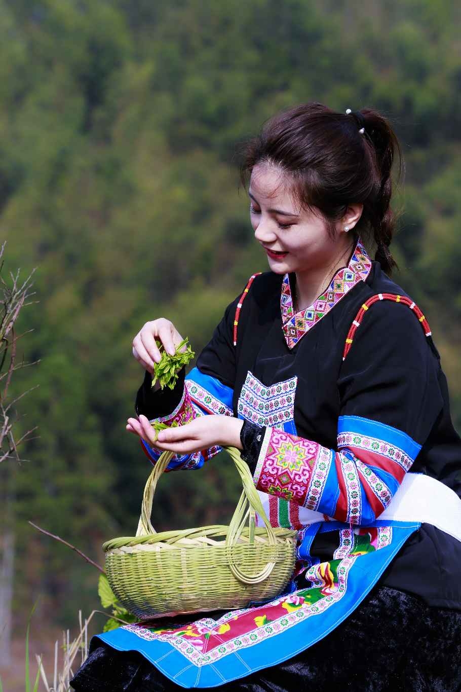 最美采茶女图片